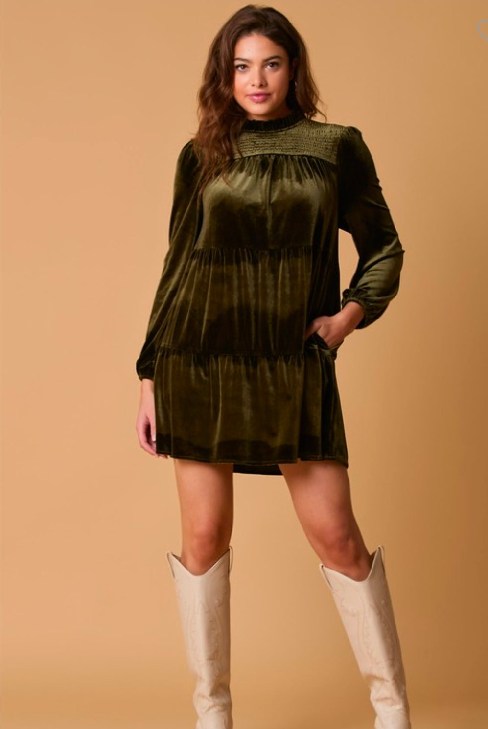 Velvet Long Sleeve Mini Dress