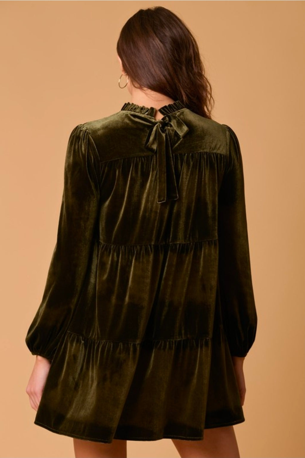 Velvet Long Sleeve Mini Dress