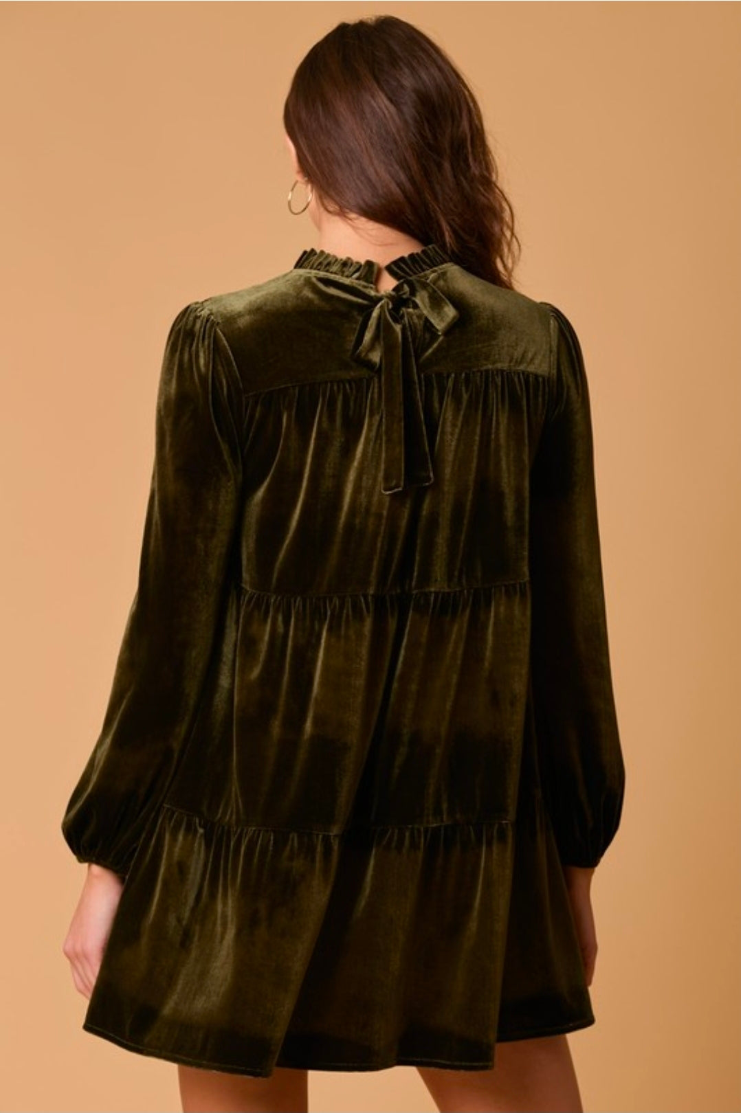 Velvet Long Sleeve Mini Dress